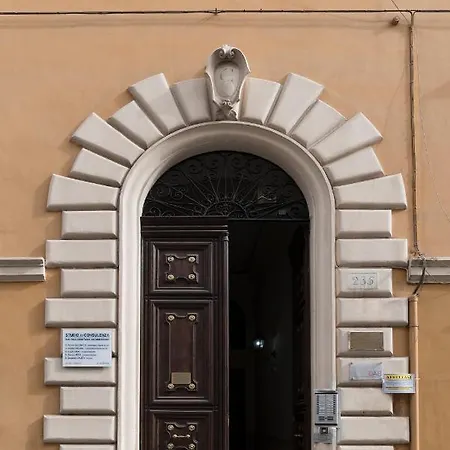 Superdab Roma